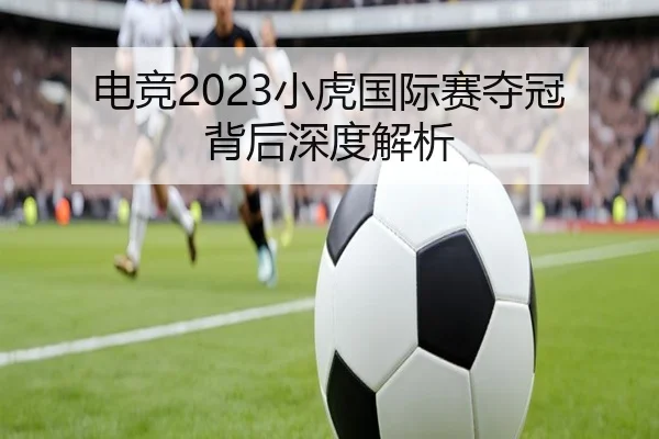 电竞2023小虎国际赛夺冠背后深度解析